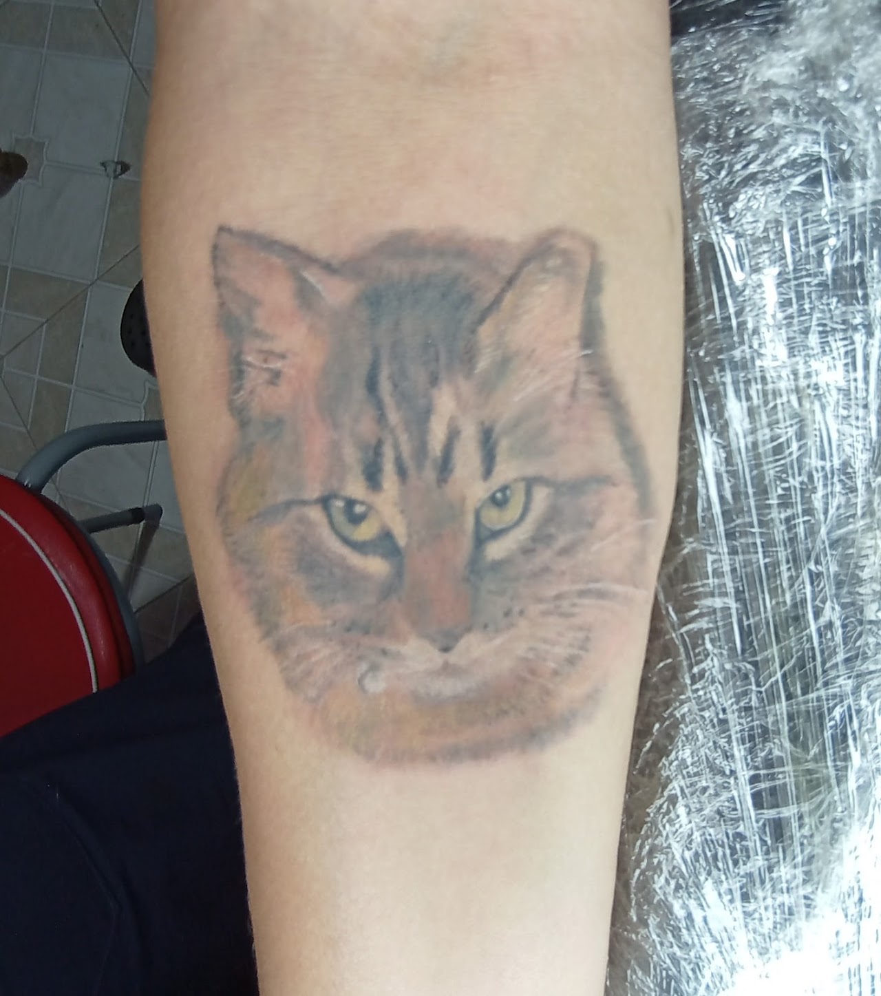 Yul Tattoo - tatuaje realista de gato